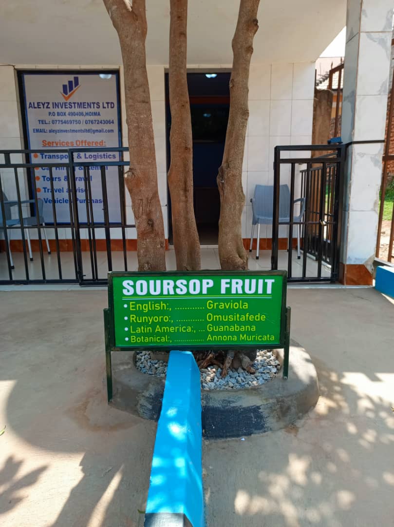 Affordable Tours and travel services in Uganda